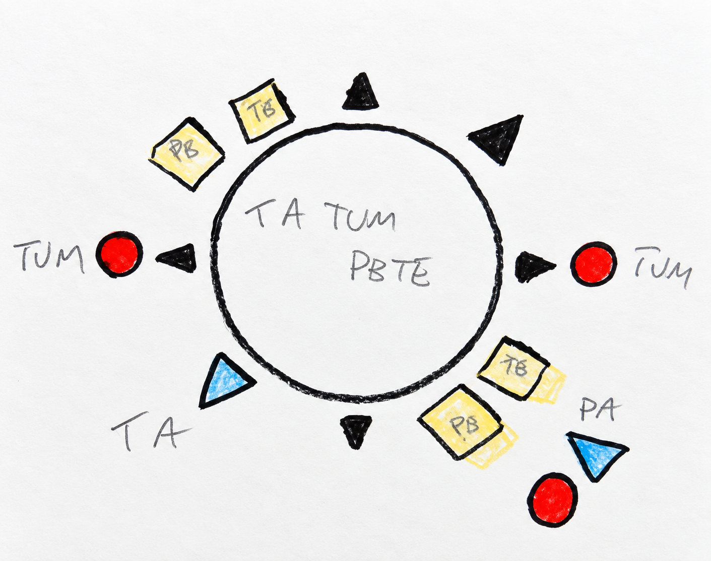 Ritmo: esempio di attività